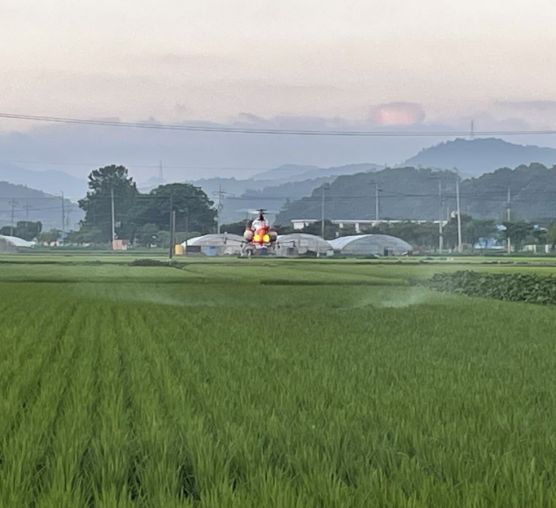 전남지역 무인헬기방제