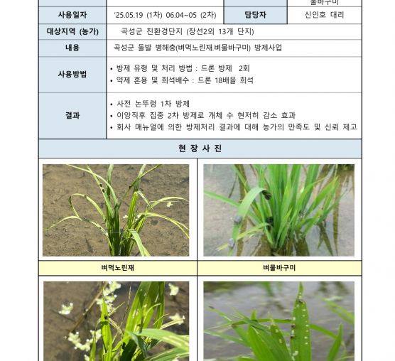 돌발병해충(벼먹노린재, 벼물바구미)방제