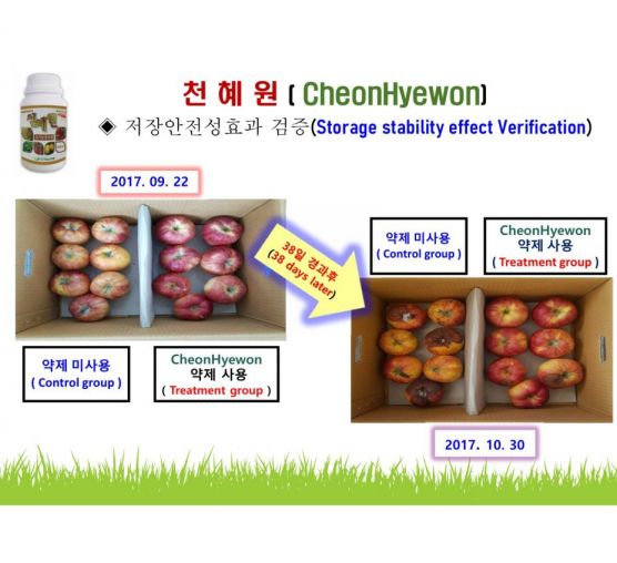 천혜원-저장성 효과