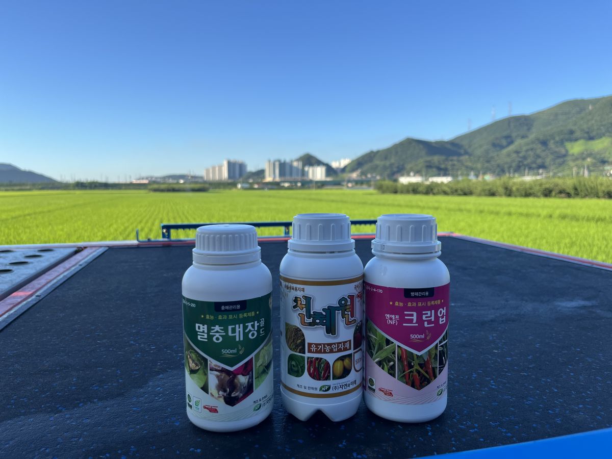 첨부된 이미지